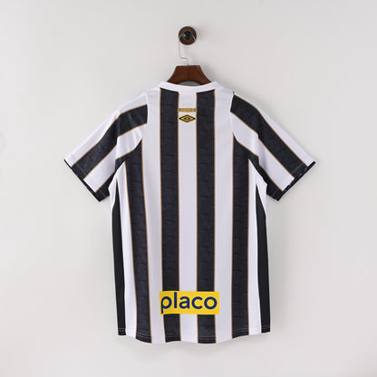 2024/2025 Santos Away Jersey
